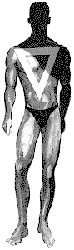 trapezoid body shape male