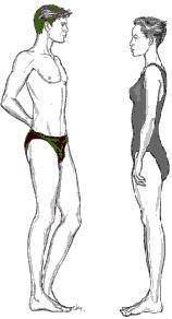 How to know your torso length and body proportion (and this is why