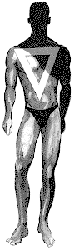 trapezoid male body shape
