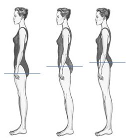 vertical body shapes