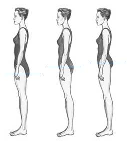 Body Proportions Explained - Long Body, Shorter Legs — Inside Out Style